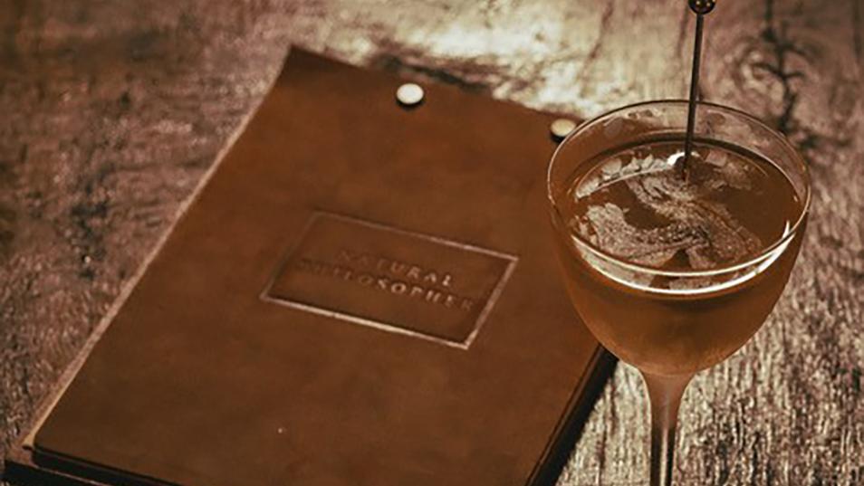 NaturalPhilosopher25_1